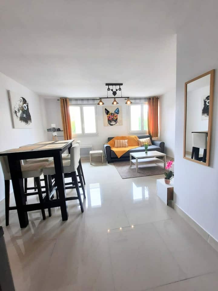 APPARTEMENT F2 COSY